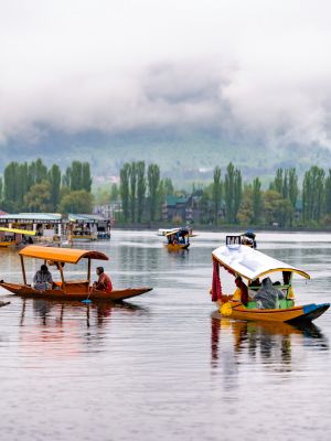 Jammu & Kashmir